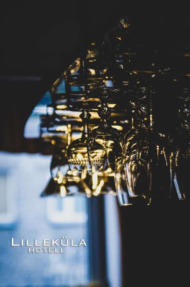 Отель Lilleküla Hotel Таллин-24
